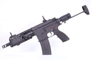 E&C AR4168C Type 2 AEG (Noir)